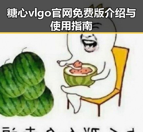 糖心vlgo官网免费版介绍与使用指南