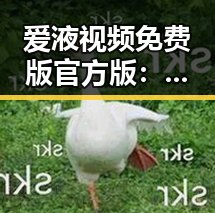 爱液视频免费版官方版：宜春市玩家体验全攻略