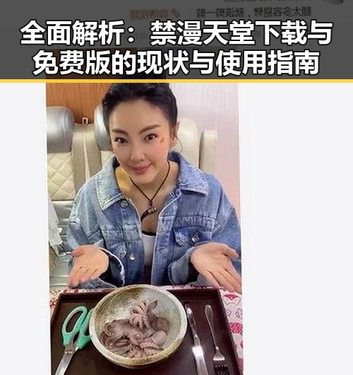 全面解析：禁漫天堂下载与免费版的现状与使用指南