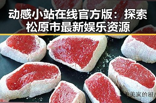 动感小站在线官方版：探索松原市最新娱乐资源