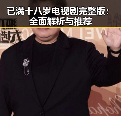 已满十八岁电视剧完整版：全面解析与推荐