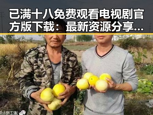 已满十八免费观看电视剧官方版下载：最新资源分享与解读