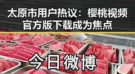 太原市用户热议：樱桃视频官方版下载成为焦点