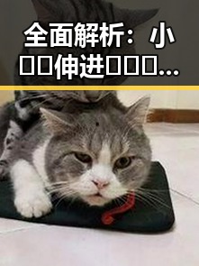 全面解析：小🐔🐔伸进🈲🔞🔞A官方版正版下载的最新动态
