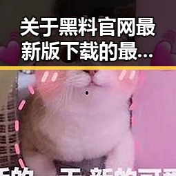 关于黑料 官网最新版下载的最新动态与讨论
