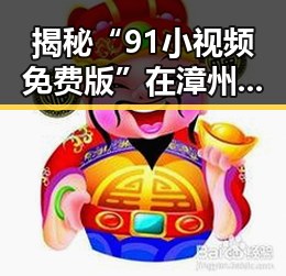 揭秘“91小视频免费版”在漳州市的现状与影响
