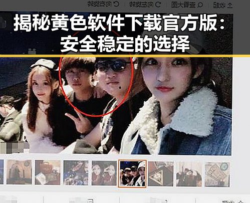 揭秘黄色软件下载官方版：安全稳定的选择