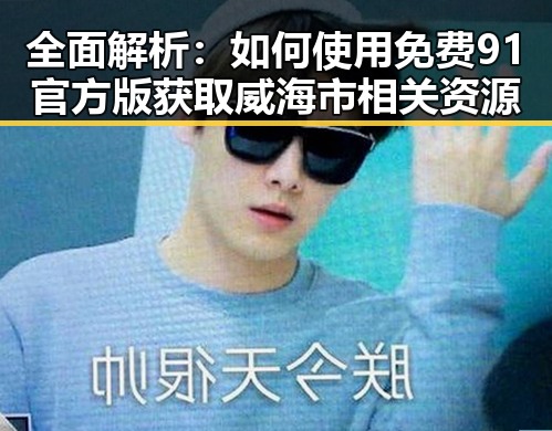 全面解析：如何使用免费91官方版获取威海市相关资源