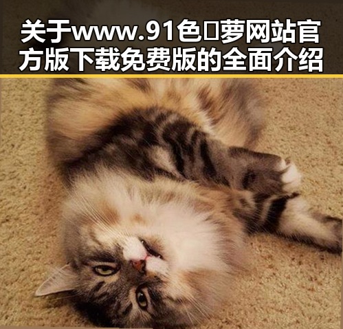 关于www.91色😍萝网站官方版下载免费版的全面介绍