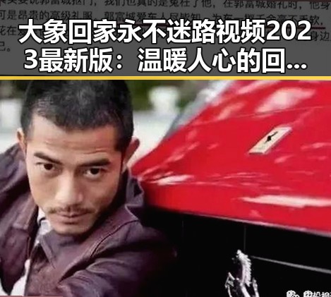 大象回家永不迷路视频2023最新版：温暖人心的回归故事
