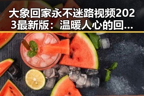 大象回家永不迷路视频2023最新版：温暖人心的回归故事