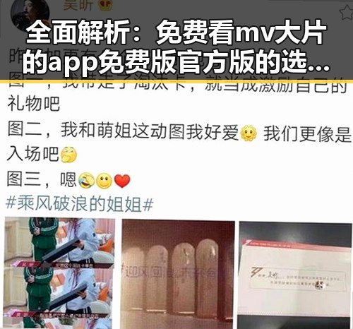 全面解析：免费看mv大片的app免费版官方版的选择与使用指南