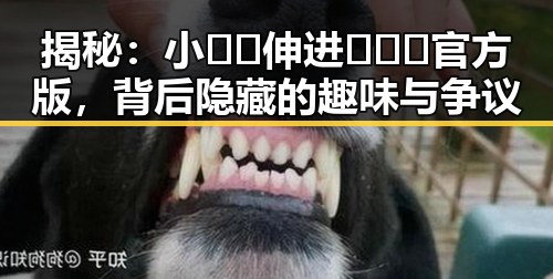 揭秘：小🐔🐔伸进🈲🔞🔞官方版，背后隐藏的趣味与争议