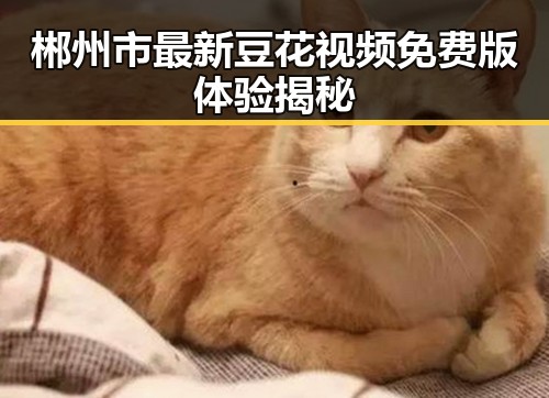 郴州市最新豆花视频免费版体验揭秘