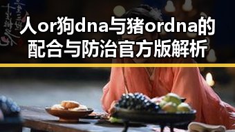 人or狗dna与猪ordna的配合与防治官方版解析