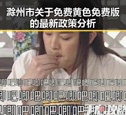 滁州市关于免费黄色免费版的最新政策分析