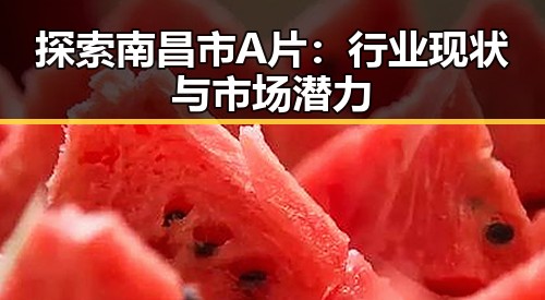 探索南昌市A片：行业现状与市场潜力