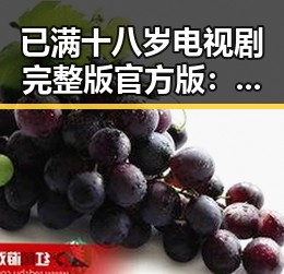 已满十八岁电视剧完整版官方版：完整上线，激发观众新热情