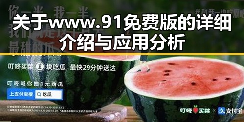 关于 www.91免费版 的详细介绍与应用分析