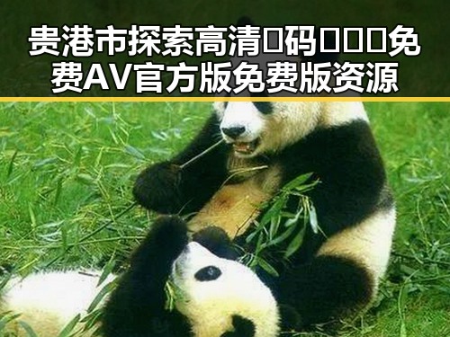 贵港市探索高清🈚码🔞❌♋免费AV官方版免费版资源