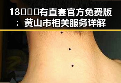 18❌❌❌有直套官方免费版:黄山市相关服务详解
