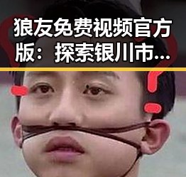 狼友免费视频官方版:探索银川市的最新娱乐资源
