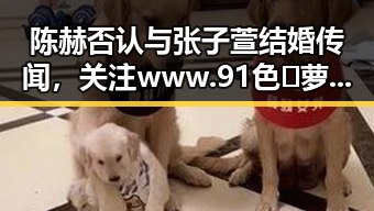陈赫否认与张子萱结婚传闻,关注www.91色😍萝网站最新版下载动态
