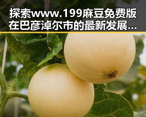 探索www.199麻豆免费版在巴彦淖尔市的最新发展与应用