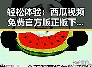 轻松体验:西瓜视频免费官方版正版下载带你畅游娱乐圈内幕
