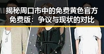 揭秘周口市中的免费黄色官方免费版：争议与现状的对比