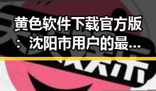 黄色软件下载官方版：沈阳市用户的最新选择