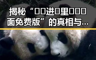 揭秘“🔞🍌进🍑里❌❌❌面免费版”的真相与分析
