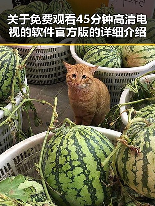 关于 免费观看45分钟高清电视的软件官方版的详细介绍