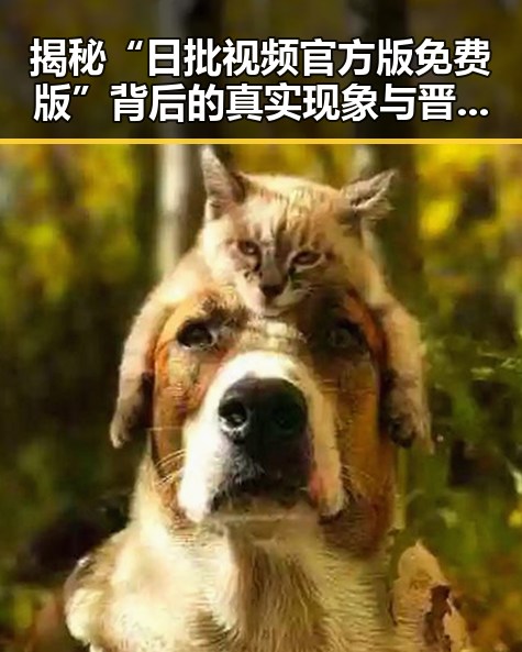 揭秘“日批视频官方版免费版”背后的真实现象与晋中市的相关动态