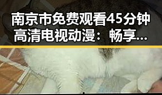南京市免费观看45分钟高清电视动漫:畅享精彩内容的最新选择
