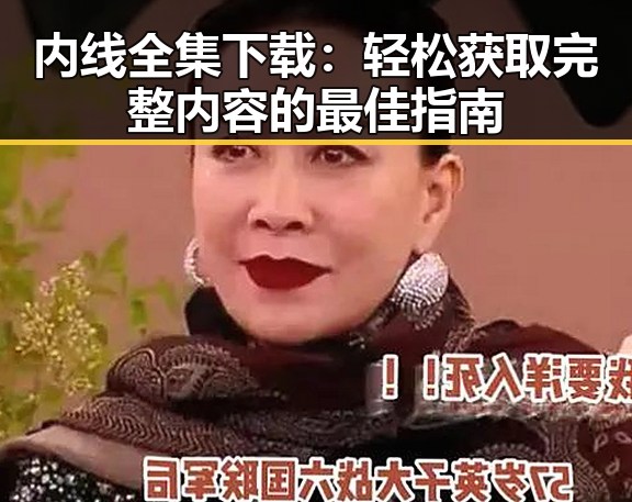 内线全集下载：轻松获取完整内容的最佳指南