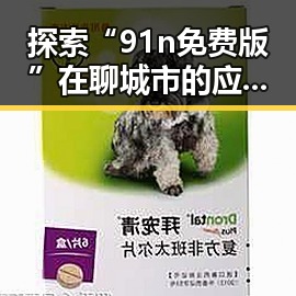 探索“91n免费版”在聊城市的应用与优势