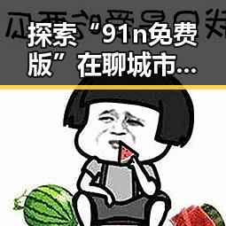 探索“91n免费版”在聊城市的应用与优势