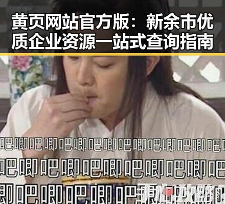 黄页网站官方版：新余市优质企业资源一站式查询指南