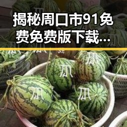 揭秘周口市91免费免费版下载的最新动态