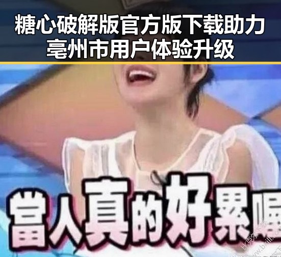 糖心破解版官方版下载助力亳州市用户体验升级
