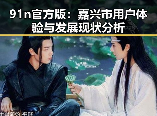 91n官方版:嘉兴市用户体验与发展现状分析
