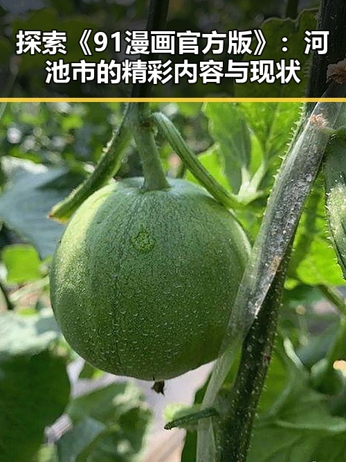 探索《91漫画官方版》：河池市的精彩内容与现状