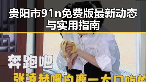 贵阳市91n免费版最新动态与实用指南