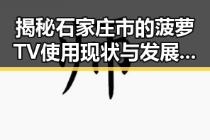 揭秘石家庄市的菠萝TV使用现状与发展前景
