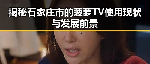 揭秘石家庄市的菠萝TV使用现状与发展前景