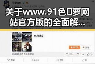 关于 www.91色😍萝网站官方版的全面解析与现状