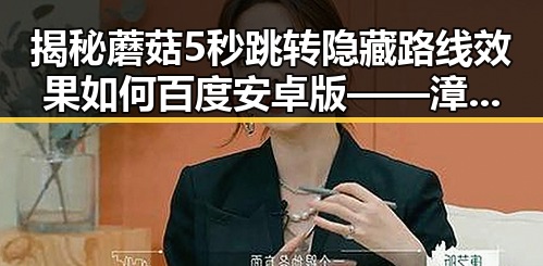 揭秘蘑菇5秒跳转隐藏路线效果如何百度安卓版——漳州市玩家的最新体验