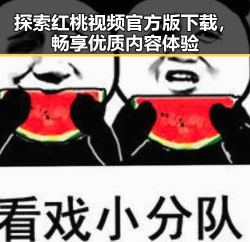 探索红桃视频官方版下载,畅享优质内容体验
