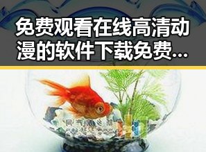 免费观看在线高清动漫的软件下载免费版：新时代的娱乐体验